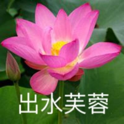 操盘必读：影响股市利好或利空消息_2026年3月26日_财经新闻